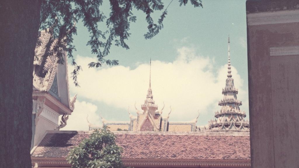 柬埔寨劫囚车的女人，东南亚江湖大嫂，得妻如此，夫复何求？