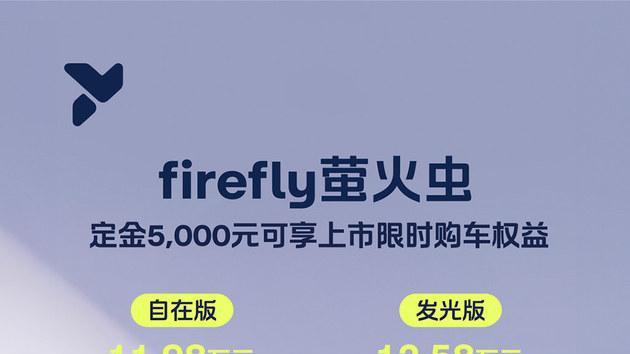 蔚来全新品牌萤火虫同名车型上市 11.98万起