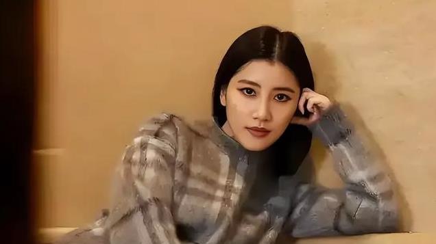 刘德华小姨子晒私人飞机，背后竟是晨光文具创始人的强大实力！