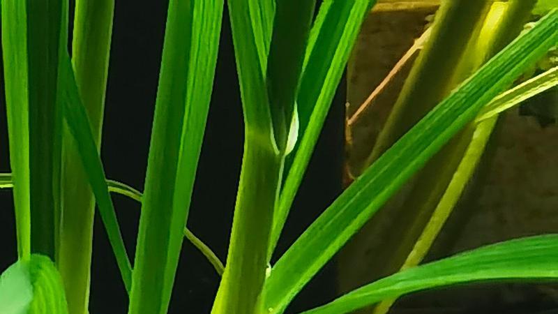 热搜标题：流量密码藏在何处？