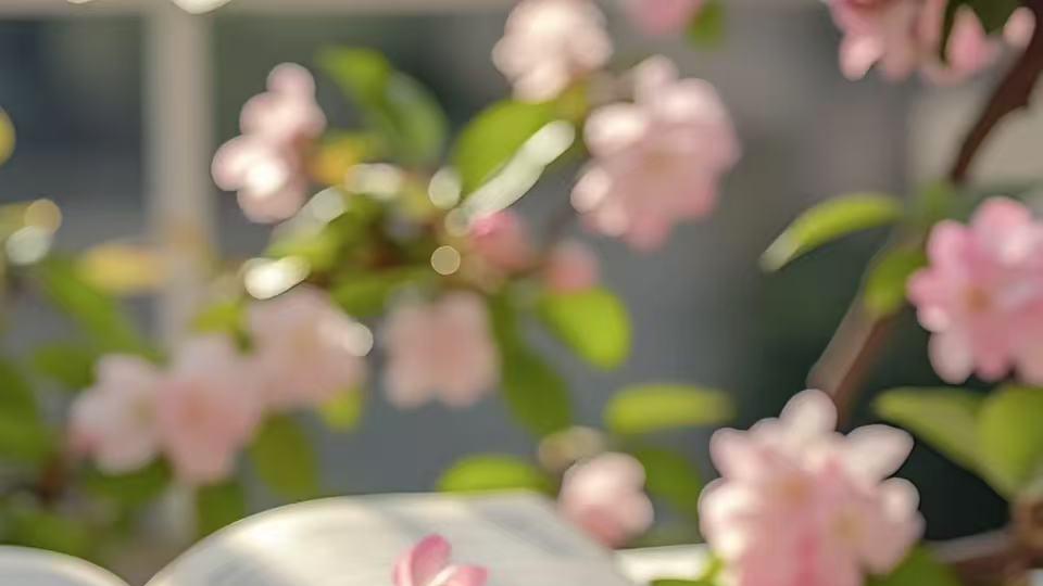 退休后，出门在外尽量少谈自己的这三“件事”，谈的越少，福气反而越多。