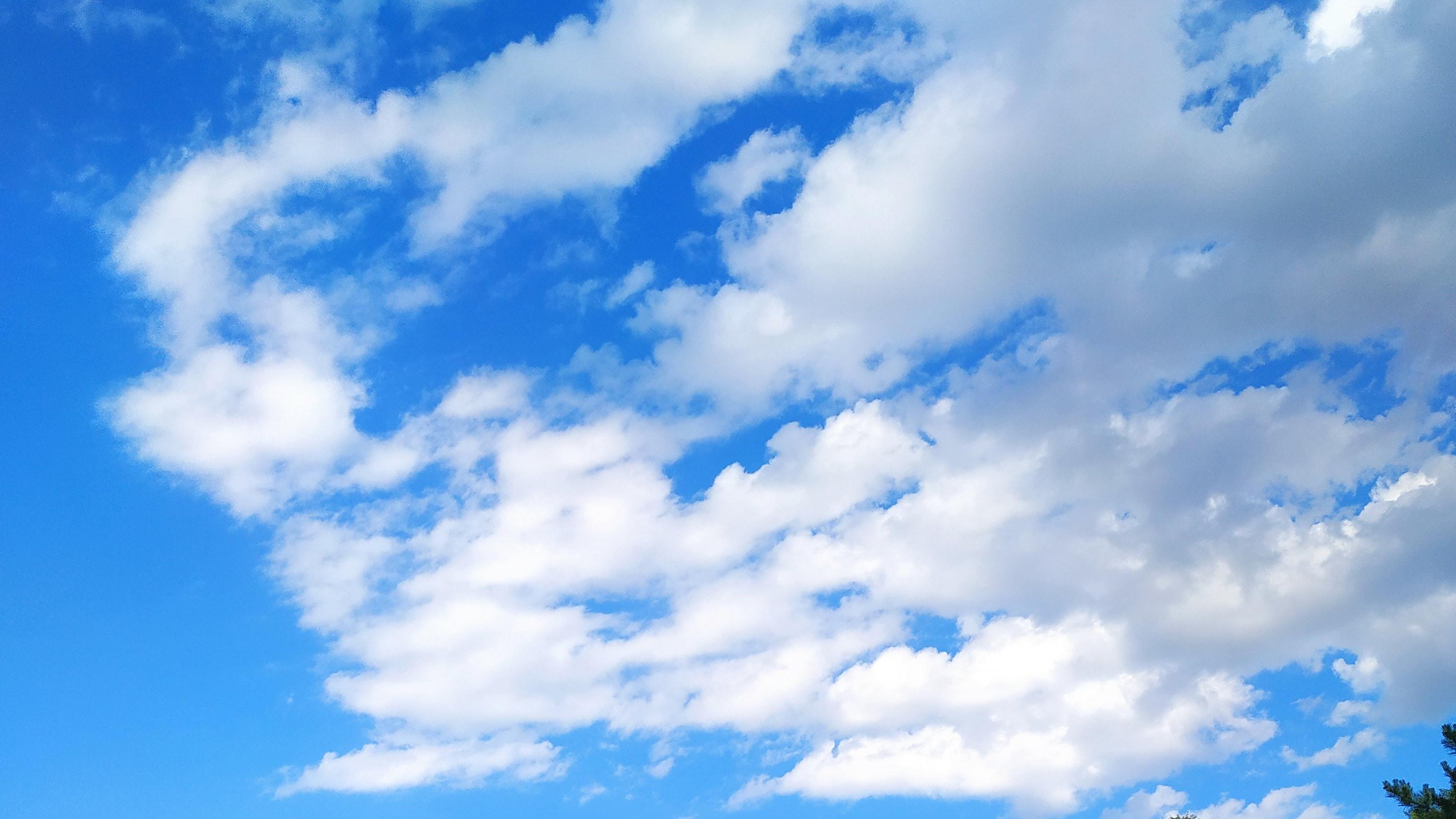 偶感拾编（三）