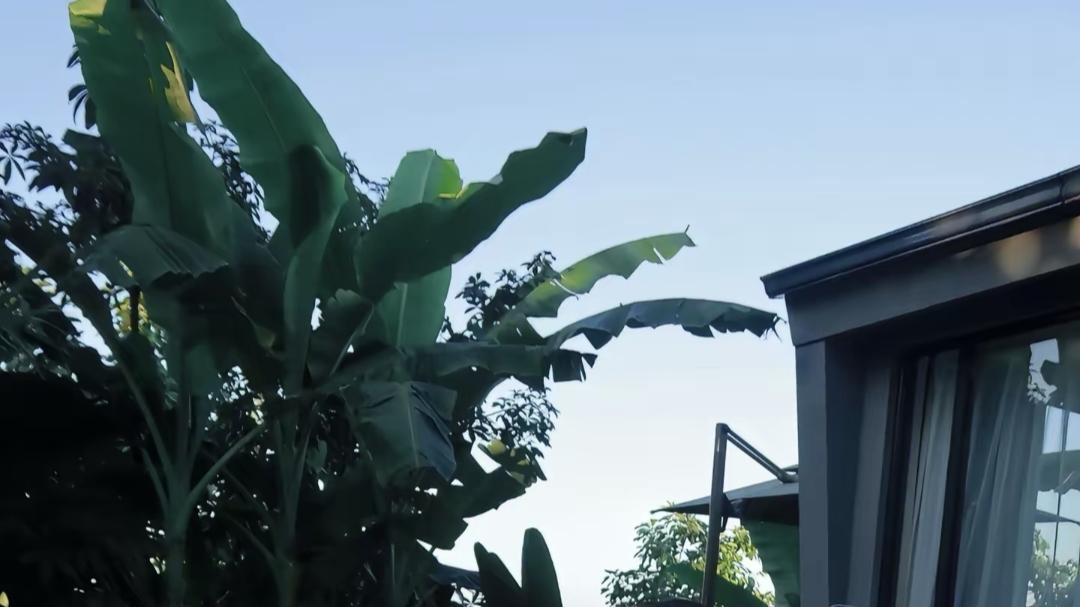 青春是生命中最美好的年华，充满了无限的可能与希望。