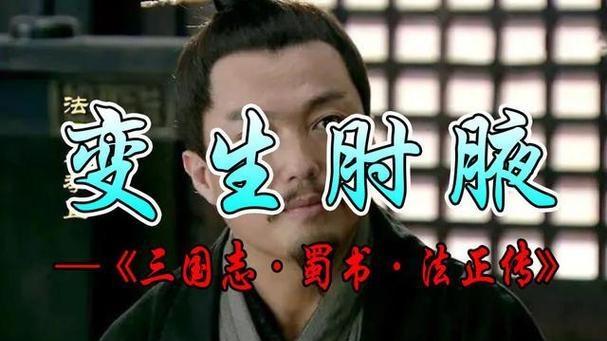变生肘腋丨法正助刘备夺取益州，虽有罪诸葛亮不惩处