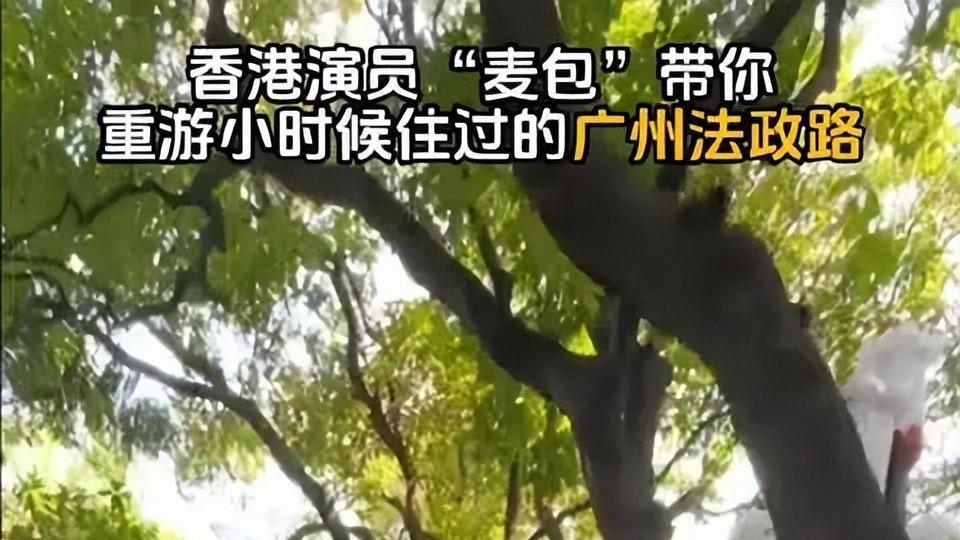 香港明星北上定居潮，家国情怀or现实抉择？未来之路在哪？