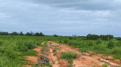 仁怀一村民非法破坏林地共1992.85平方米，被罚......