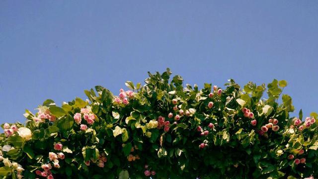 俗话说“三无不娶，三有不嫁”: 是什么意思