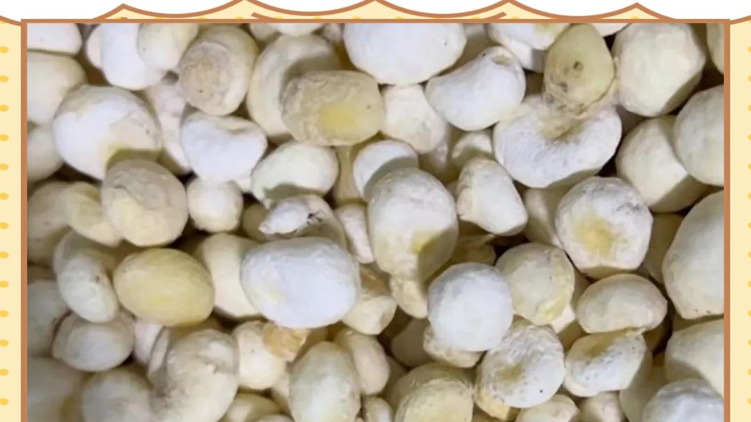 十几年的脂肪瘤，吃中药能消吗？做好1件事，再顽固的包块都能消