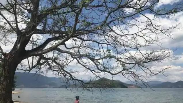“男看耳朵，女看嘴”：告诉孩子，找对象前，这句老话一定要明白