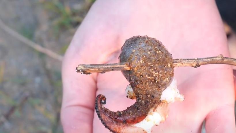 日本网红“挑战”剧毒水母，煮汤凉拌后结局如何？