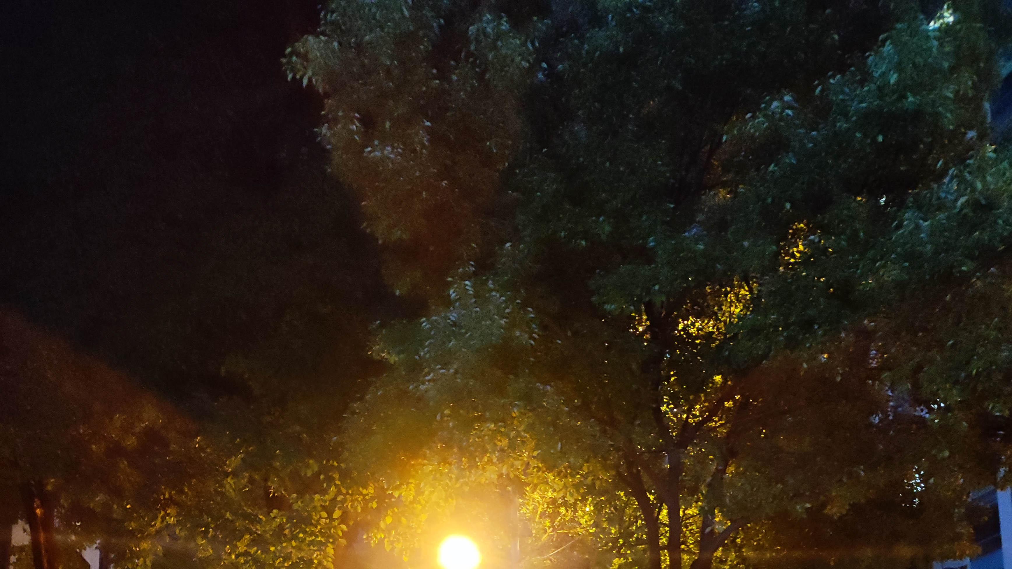 中年失业负债，我带娃在武汉摆地摊之5：摆摊 or 上班？