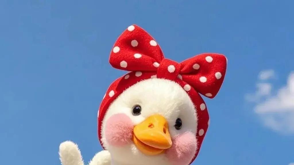 大鱼号注册成功啦~