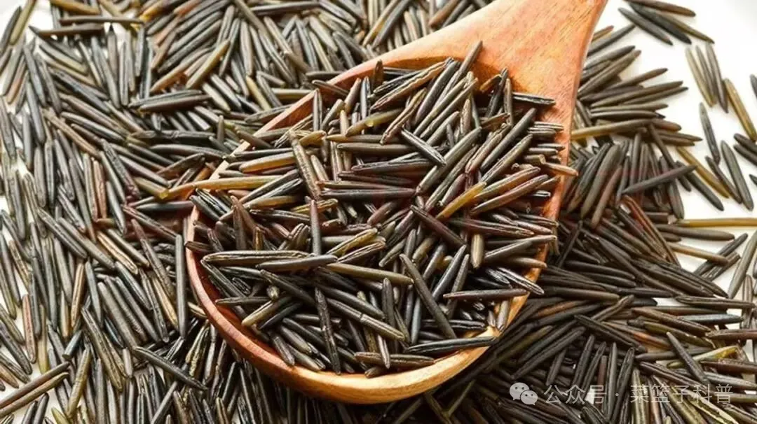 从“六谷”之一的菰米到江南名菜“茭白”：菰“因病得福”的传奇故事