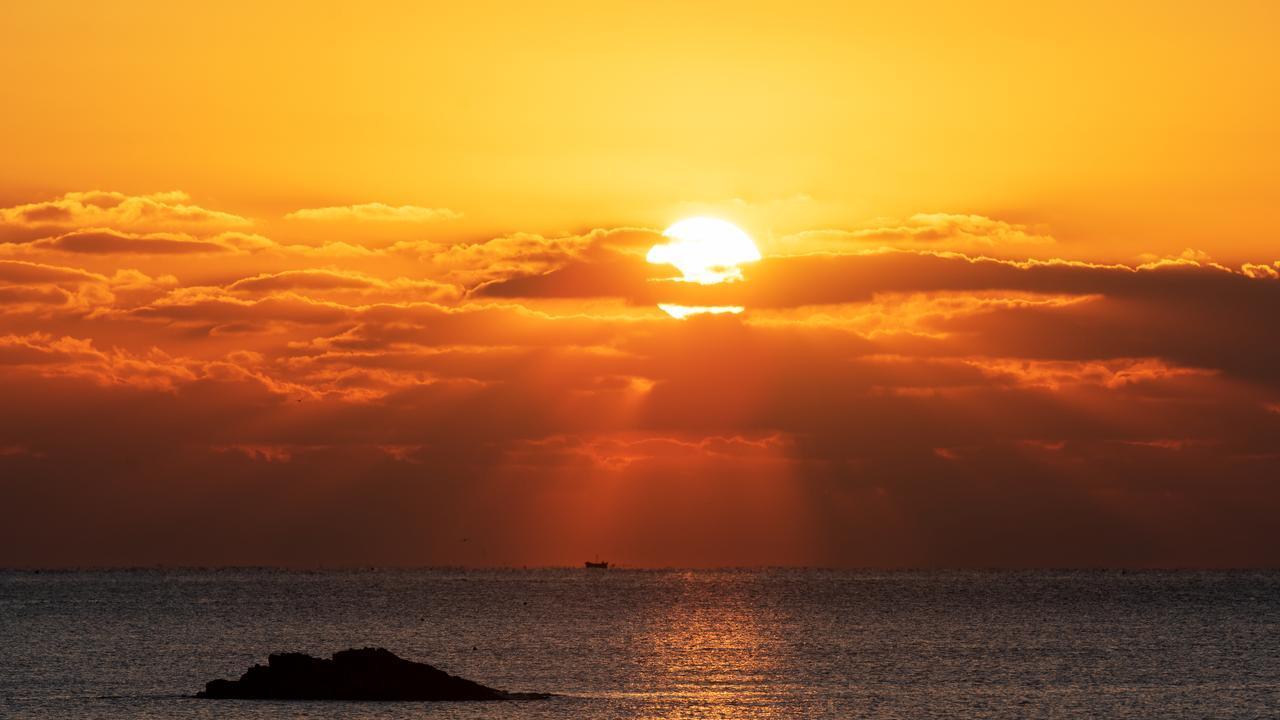 同事是人是鬼，吃顿饭就知道了