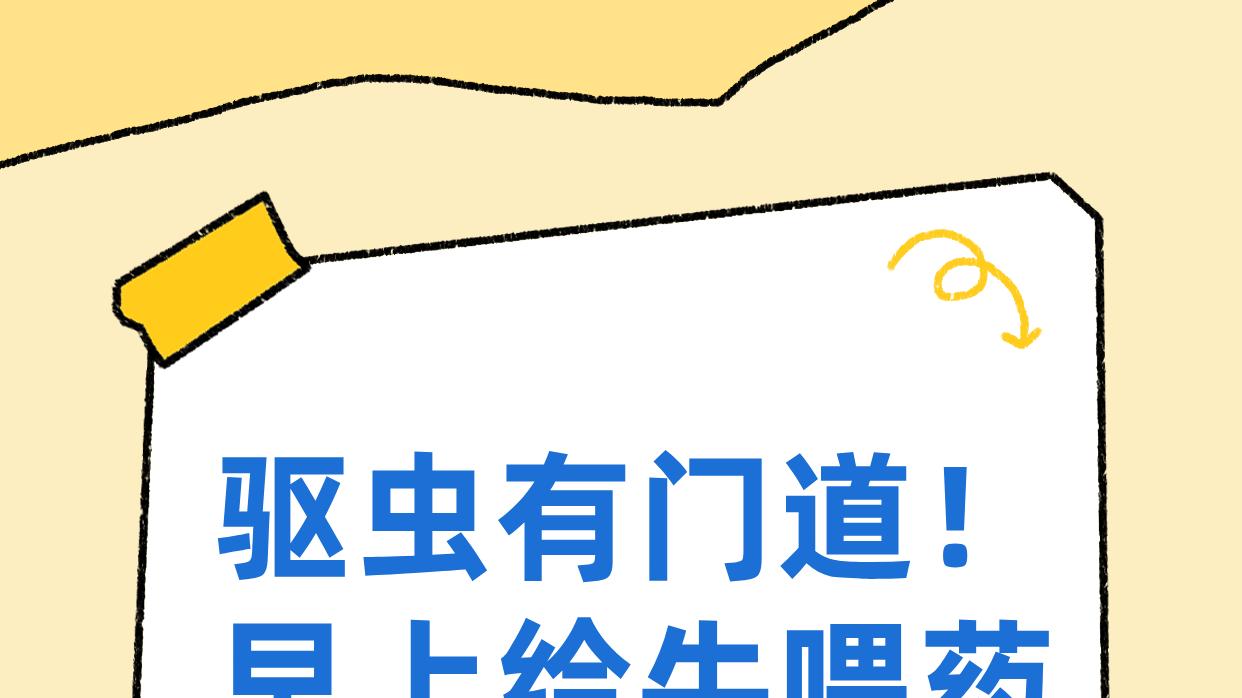 驱虫有门道！早上给牛喂药效果好的秘密