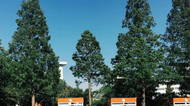 探秘朝鲜，为什么朝鲜街头很安静？