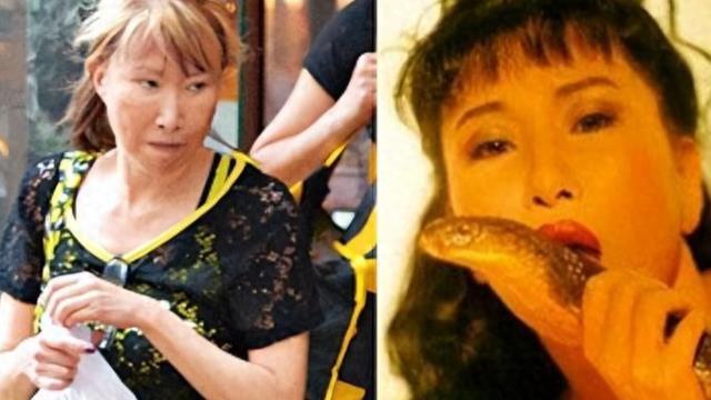 她曾是三级女王，3年连拍11部三级，如今69岁老得不敢认