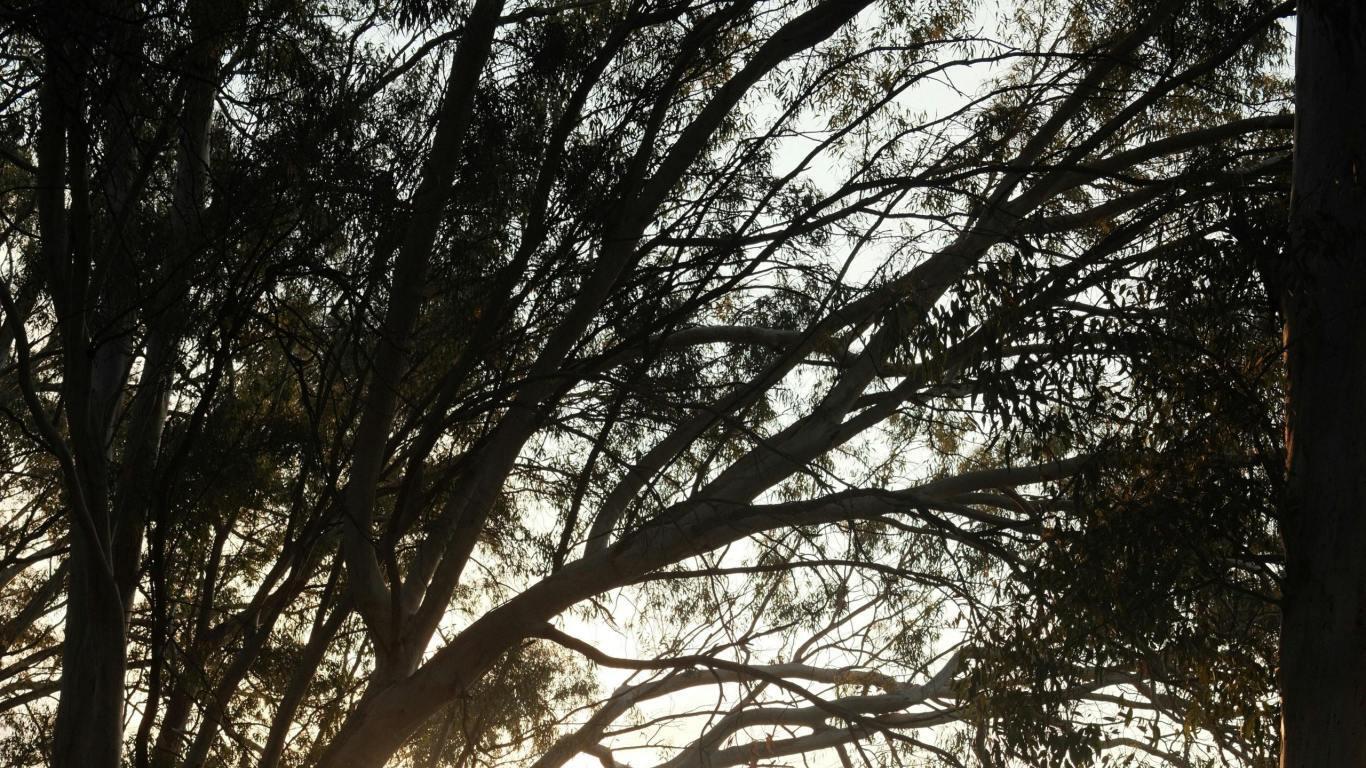 都说时机未到，但已经等不起了