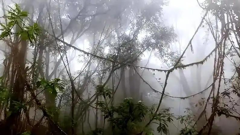 四川“黄泉路”真的存在？被封禁长达400年，至今谜团未解