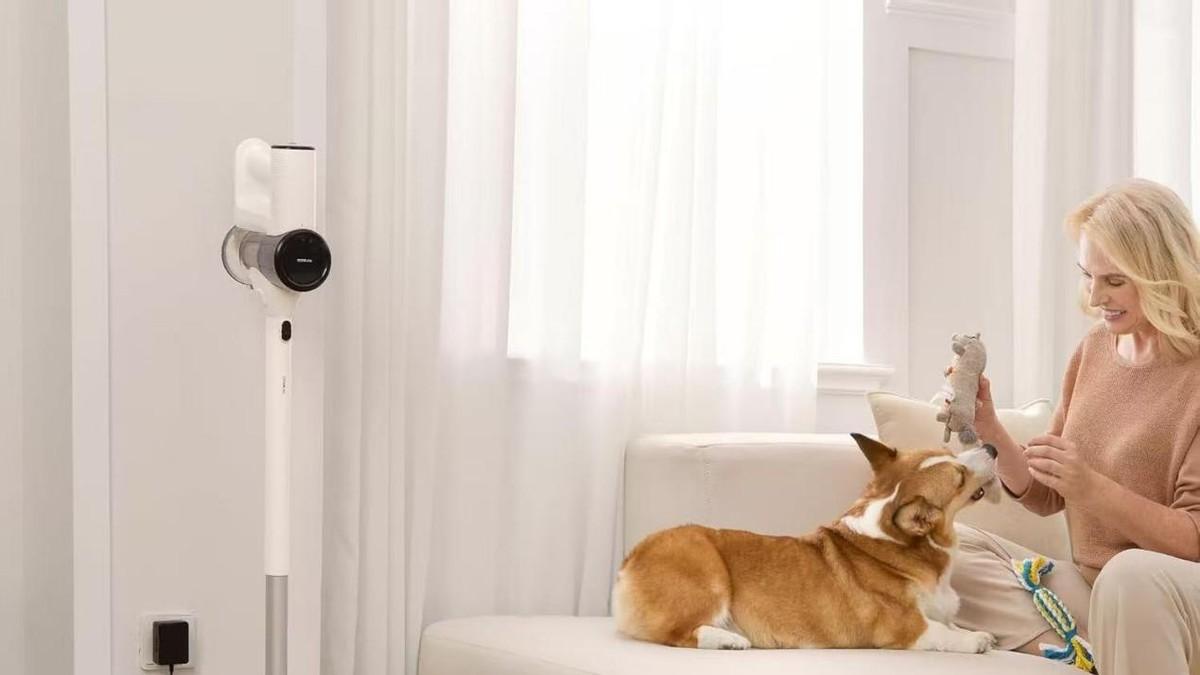 2025哪个牌子的吸尘器好用？性价比高的十大品牌排行榜推荐！