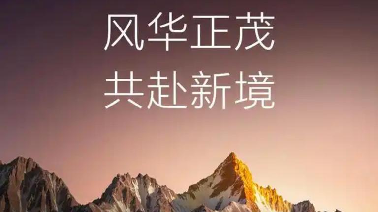 东风华为联合品牌“DH”即将亮相