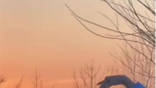 伺候婆家十几年，做饭时刻牢记他们的忌口，小姑子却吐槽我惯娃，这次我不忍了！