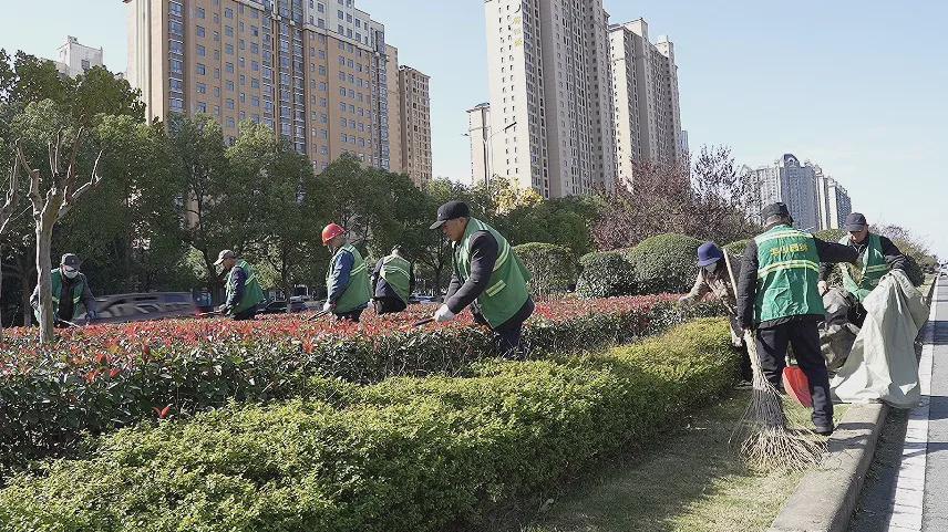 信阳市园林中心扎实推进新七大道绿化景观提质工作
