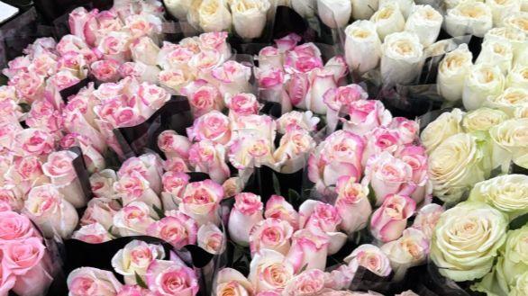 昆明斗南花市之行：鲜花与本地生活的色彩体验