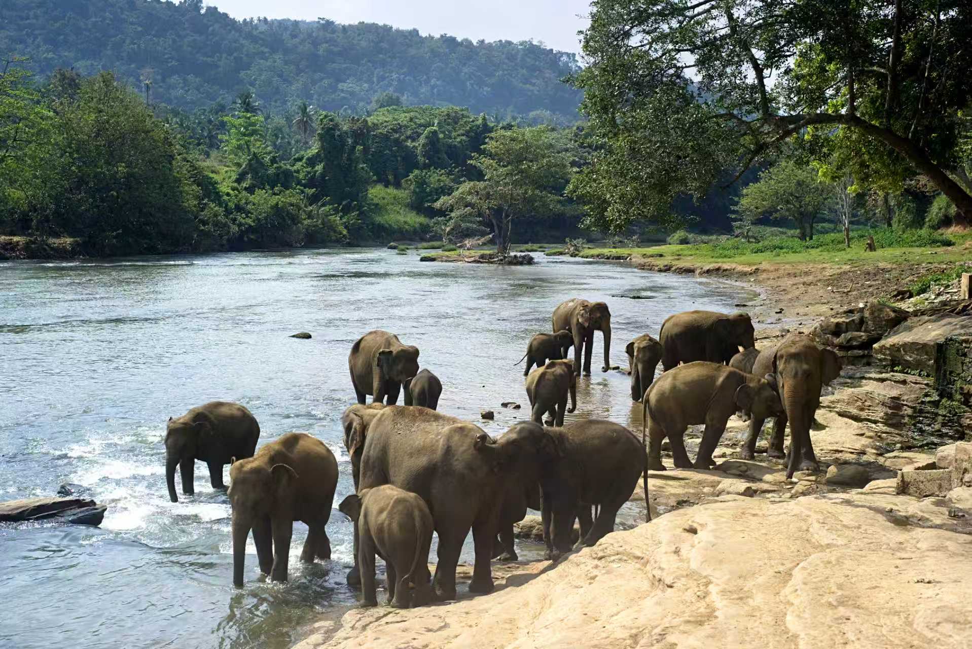 孤独星球全球2026最佳目的地，收藏就出发！