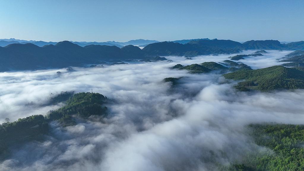 这三类人，总以为自己很聪明，其实很掉价