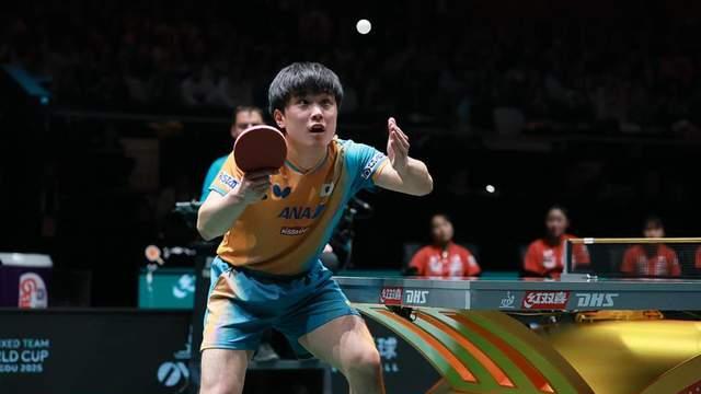 日本球迷表示理解张本智和两边受气的痛苦：请日乒协给他心理保护