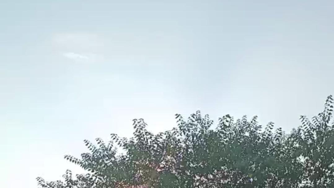 那分明是落下的阳光