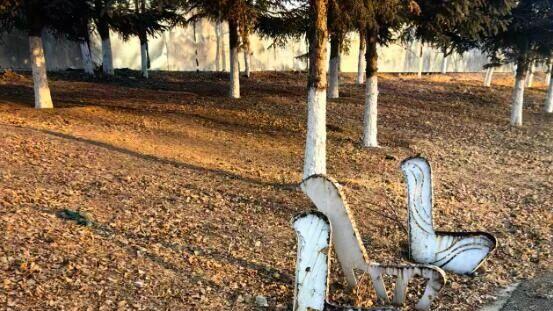 沈抚小沙河流域生态修复项目现状竟如此破败