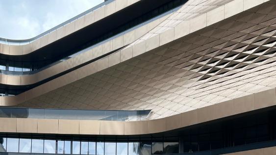 宠物友好场所越来越多，带宠出行要注意什么？