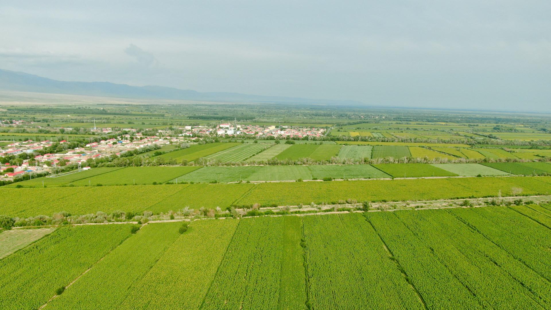 灌区水情监测系统：管理现代化新实践