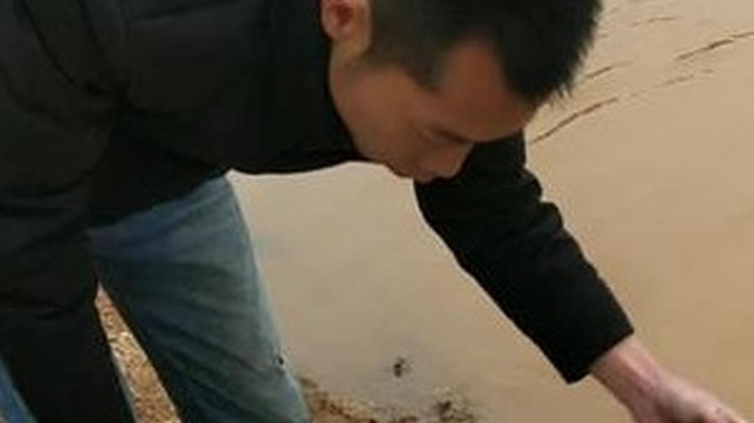 田螺养殖新手咋优化养殖环境？环境优化要点，打造舒适家园