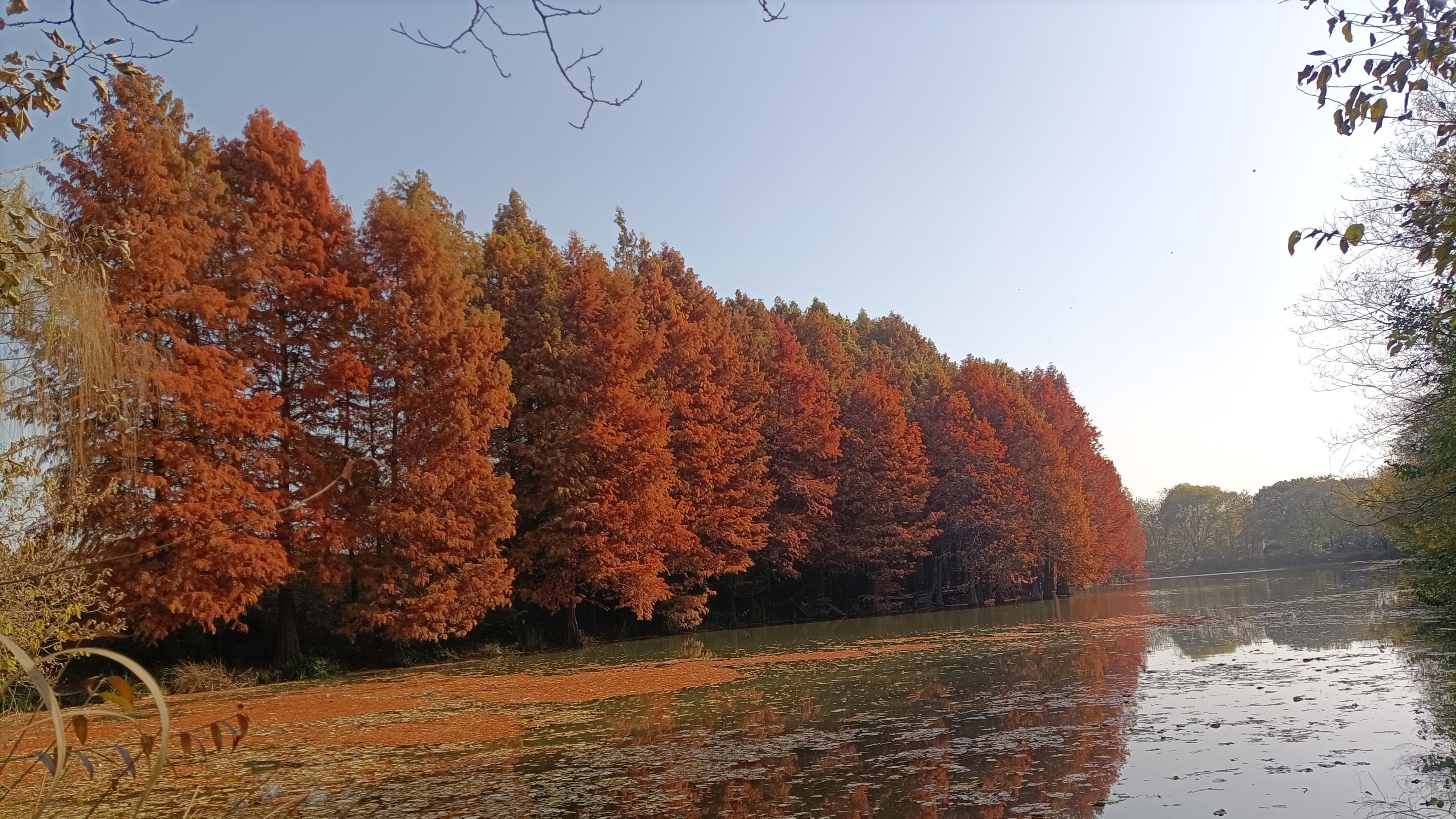 扬州，什么季节最美？