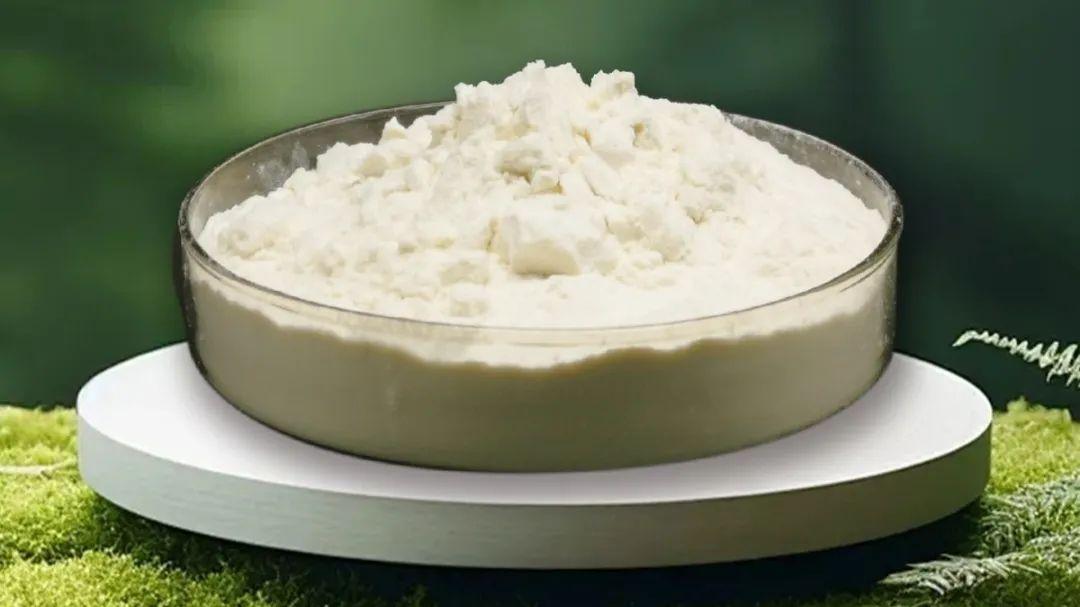 博润科技|生物刺激素—褐藻寡糖：如何慧眼识珠辨优劣！