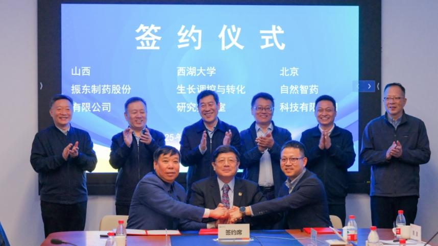 振东集团联合西湖大学，打破传统科学炼药