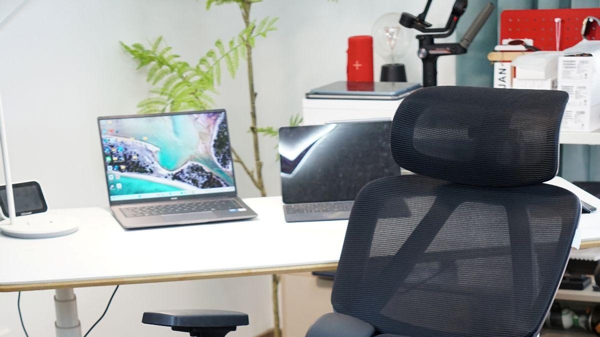 夏草木Fit2人体工学椅评测，科学护腰系统，久坐也舒适！