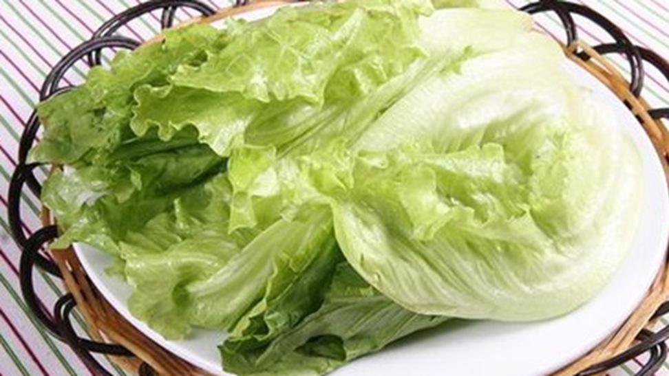 生菜密植增效法，半年四茬记录，经济作物对比，土壤板结注意