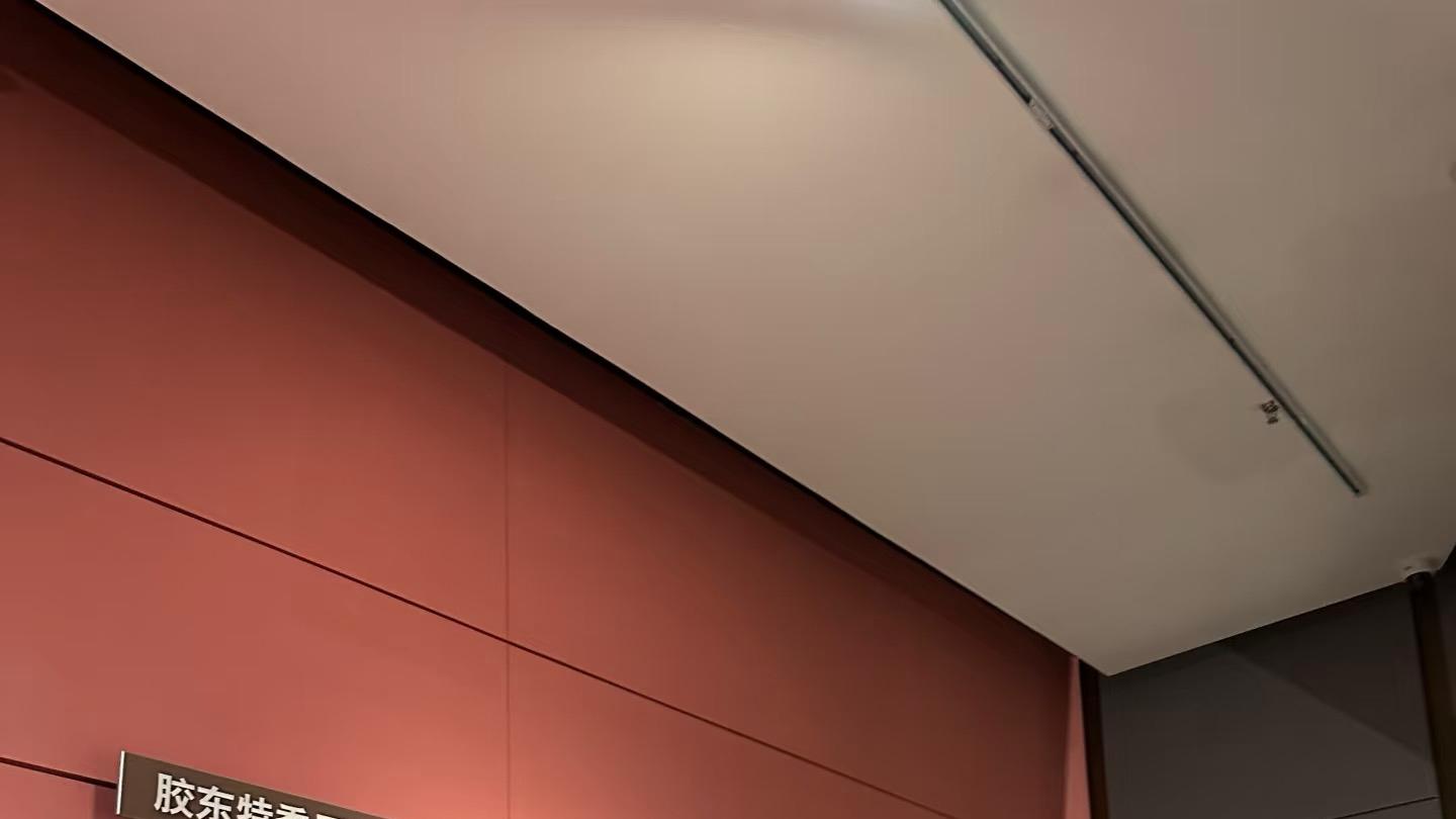 参观文化馆，红色在我心