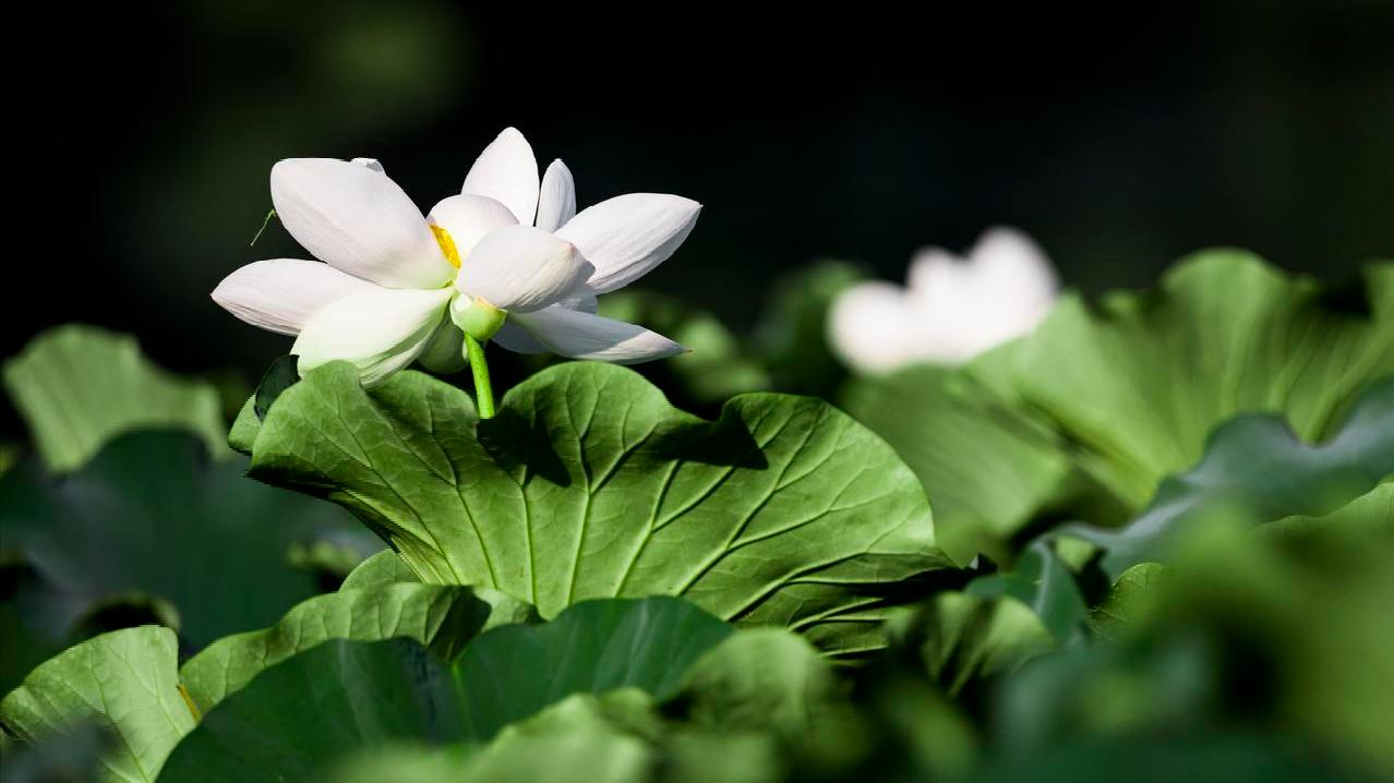 6件有损阴德的事，不要去做！