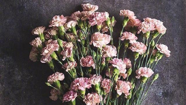 2025万圣节快乐的经典句子，句句精挑细选，值得收藏！