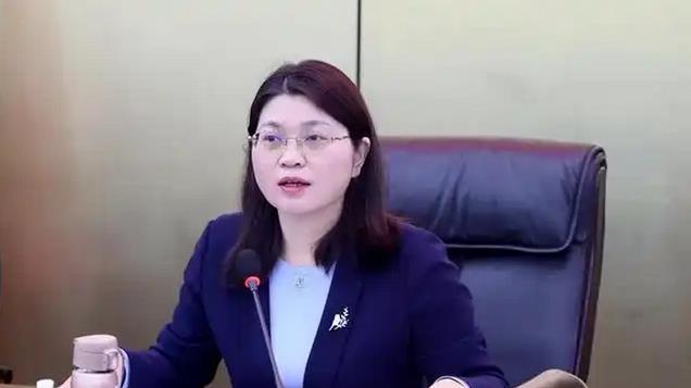 干部考察 丁芬：湖南省衡阳市委常委、市纪委书记、市监委主任