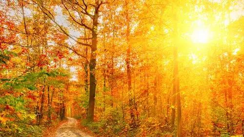 请神容易送神难