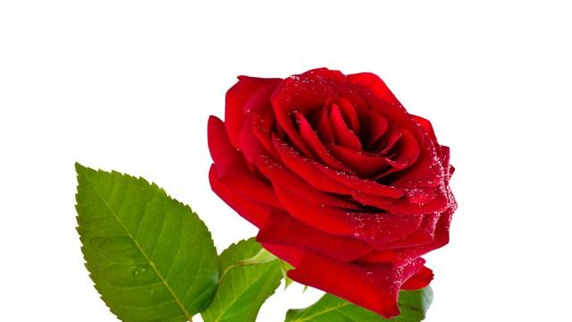 曾经的誓言，在离别时变成了“彼此安好”