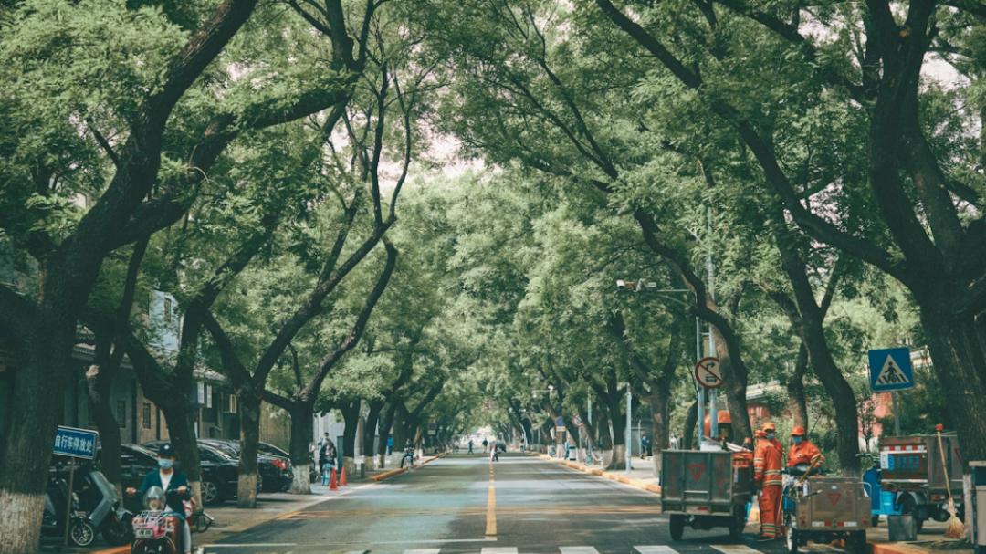 讲真，现在的孩子们真的没必要担心找不到工作