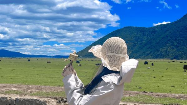 秋游正当时，这些地方适合全家一起出发​