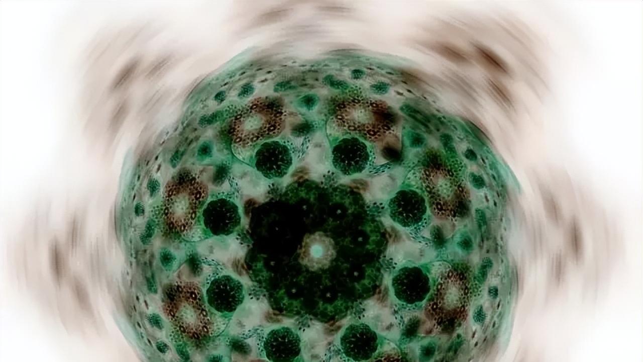 深度长文：为什么说生命的存在是必然的？